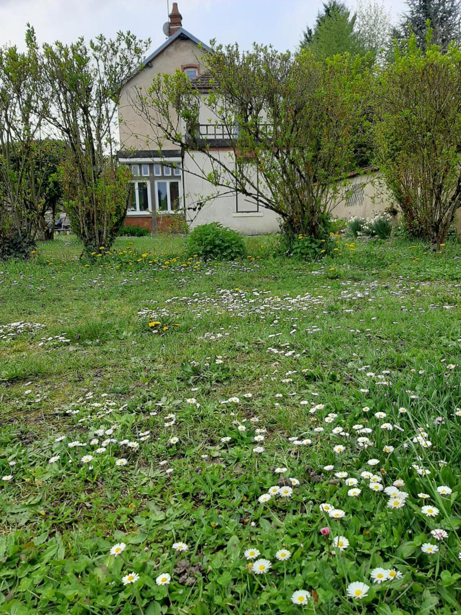 La Coutrotte Becquine Hotel Heuilley-sur-Saone Buitenkant foto