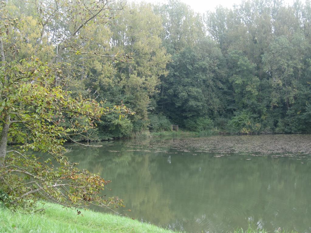 La Coutrotte Becquine Hotel Heuilley-sur-Saone Buitenkant foto